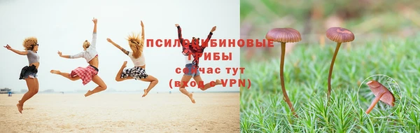 ALPHA PVP Беломорск