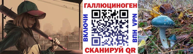 Галлюциногенные грибы Psilocybine cubensis  Новоаннинский 